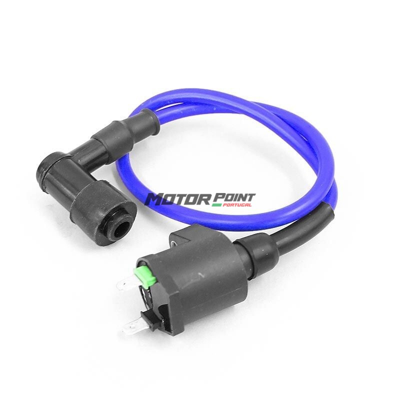 Ignition Coil - 2 pin Blue