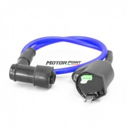 Ignition Coil - 2 pin Blue
