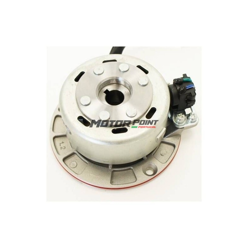 Magneto Stator Plate Racing Mini-Rotor