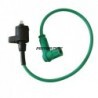 Ignition Coil - 2 pin Green