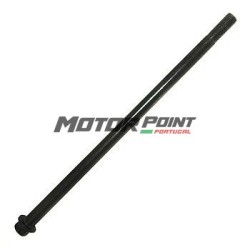 Swingarm axle ø10mm - 245mm