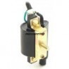 Ignition Coil - 2 Cable