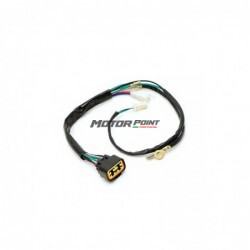 Wiring Loom for LIFAN 150 / ZS 155