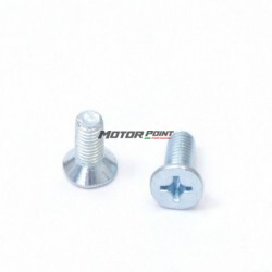 Stator screws (x2pcs)